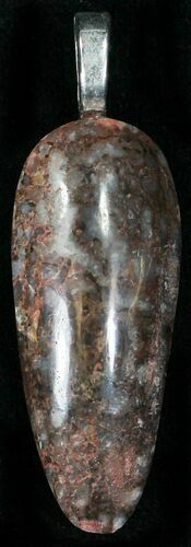 Beautiful Colorado Agatized Dinosaur Bone Pendant #14903